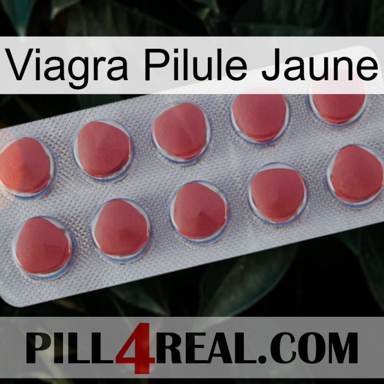 Viagra Yellow Pill 18